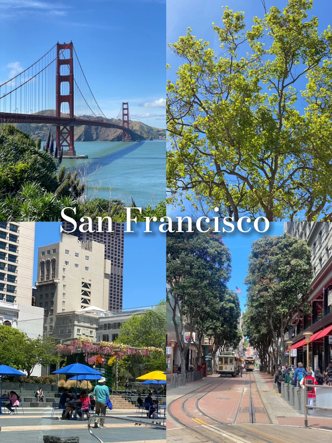 Hey, is there any good food in SF? 🙋‍♀️