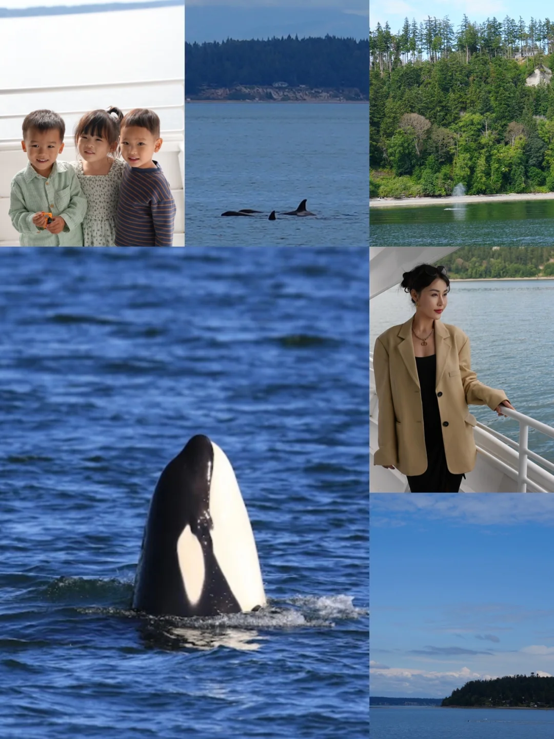 Whale Watching with Kids Near Seattle 🐳