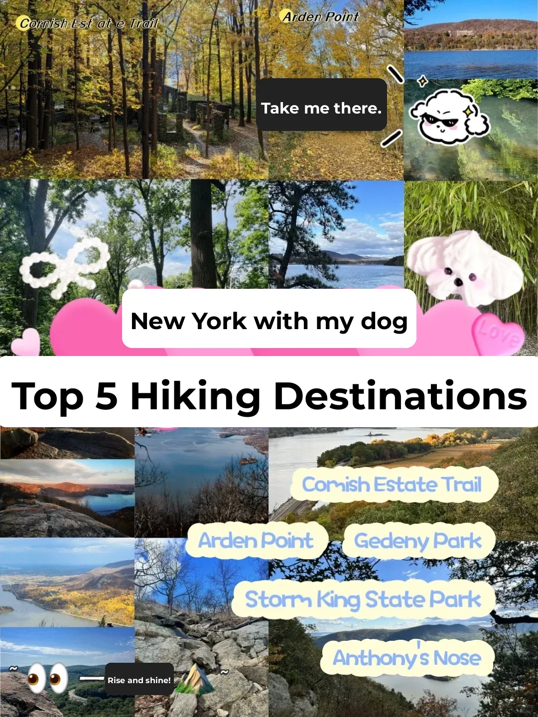 Top 5 Dog-Friendly Hiking Spots in NYC! 🐕 Save!