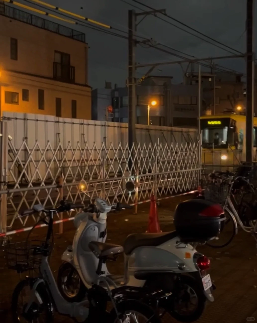 🎋 Tori no Ichi: The Beauty of Tokyo's Night Markets 🎋