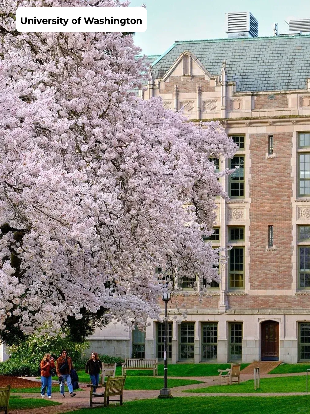 A Must-Save! Your Ultimate Guide to Seattle Travel 😯