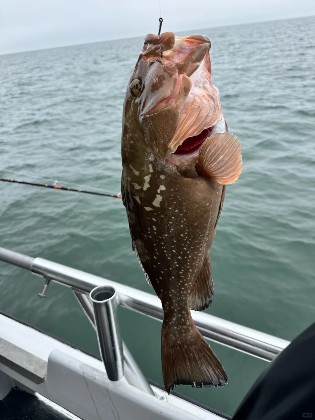 Bumper Harvest at Dolphin Landings Tampa