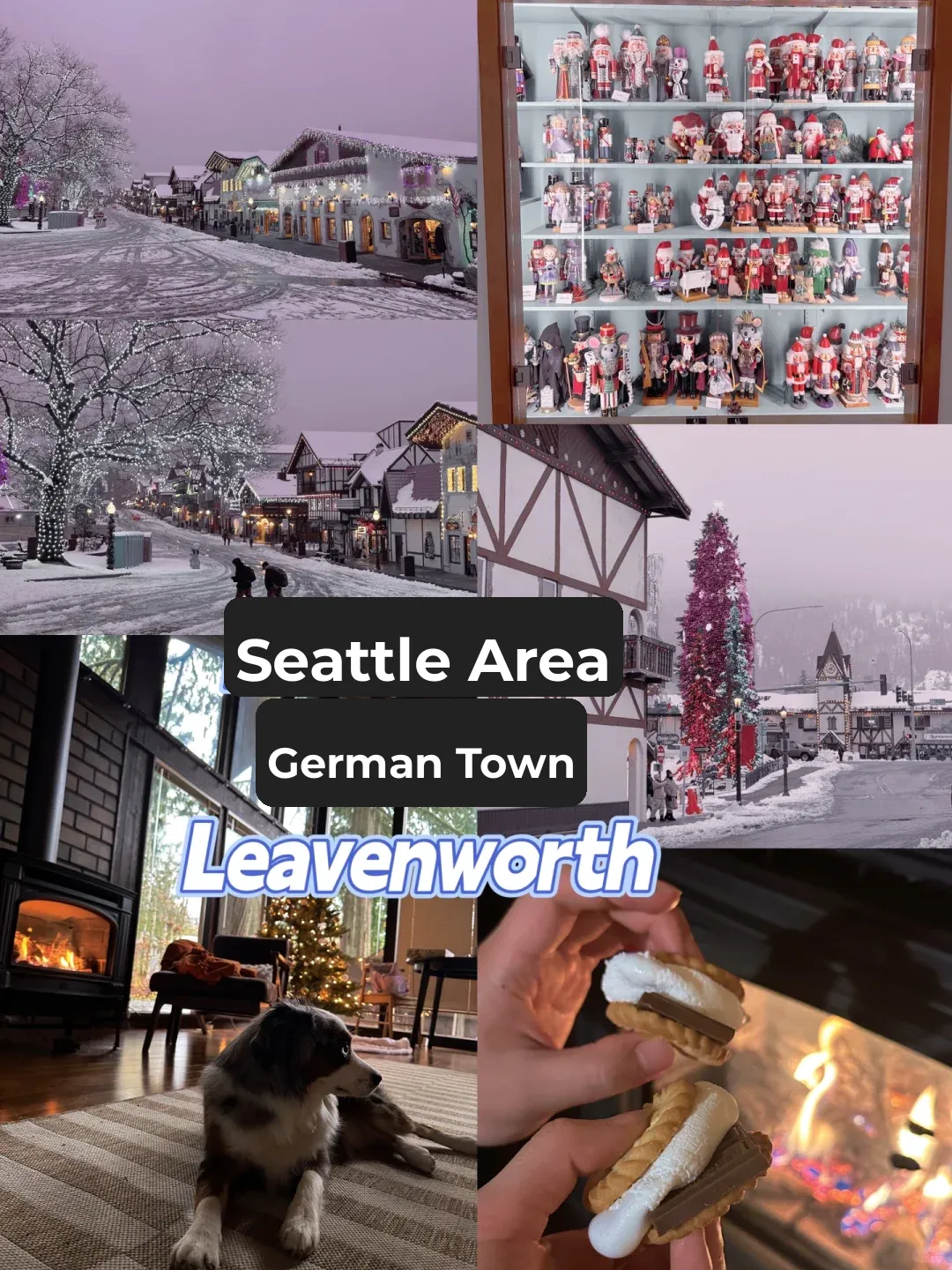 Winter Getaway ❄️ A Complete Guide to a Day Trip in a German Town