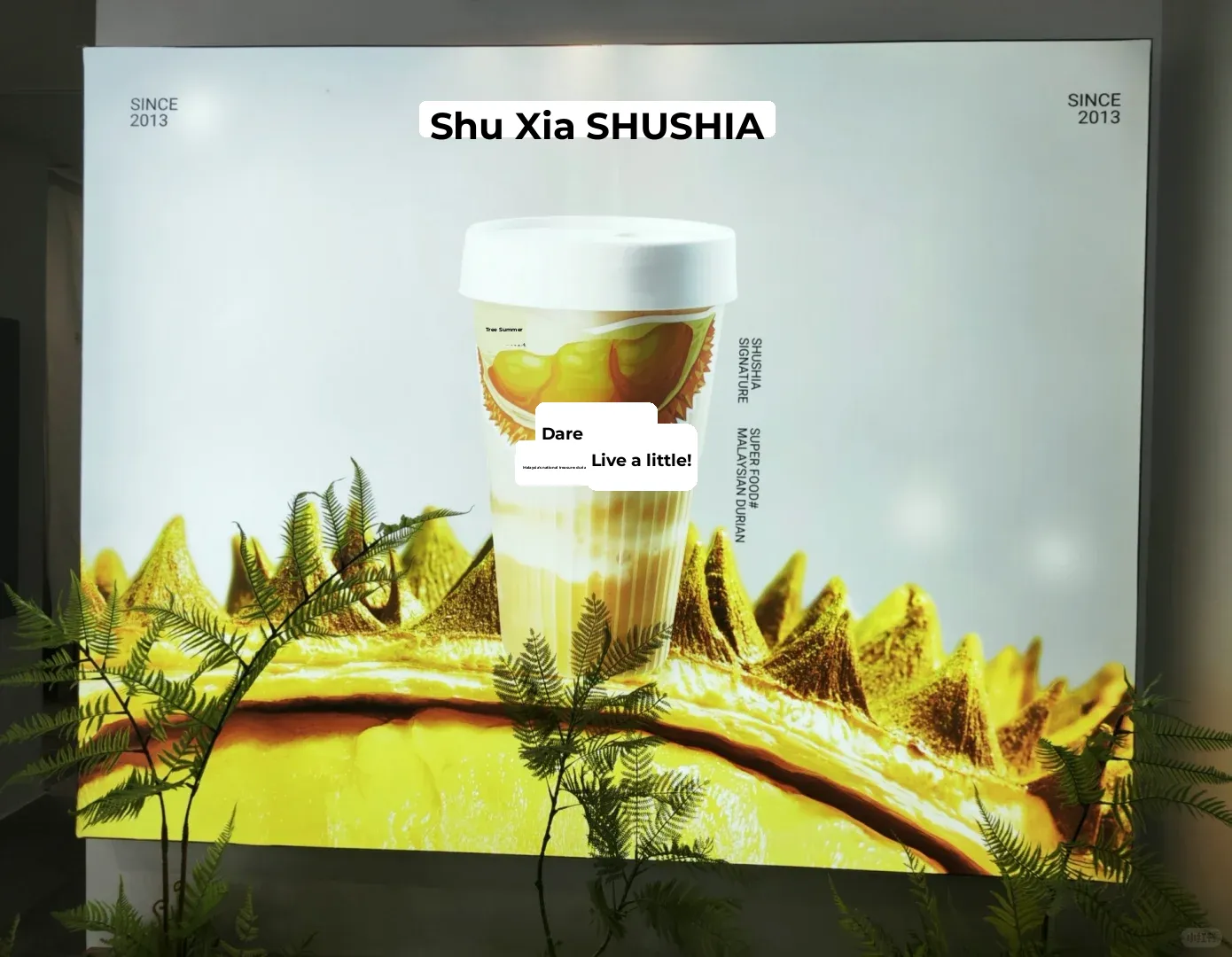 Experiencing the Grand Opening of Tree Summer in the Bay Area