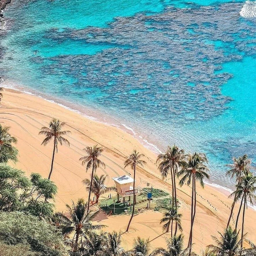 Hawaiian Paradise: Experience the Tropical Island Vibes of Maui 🪁