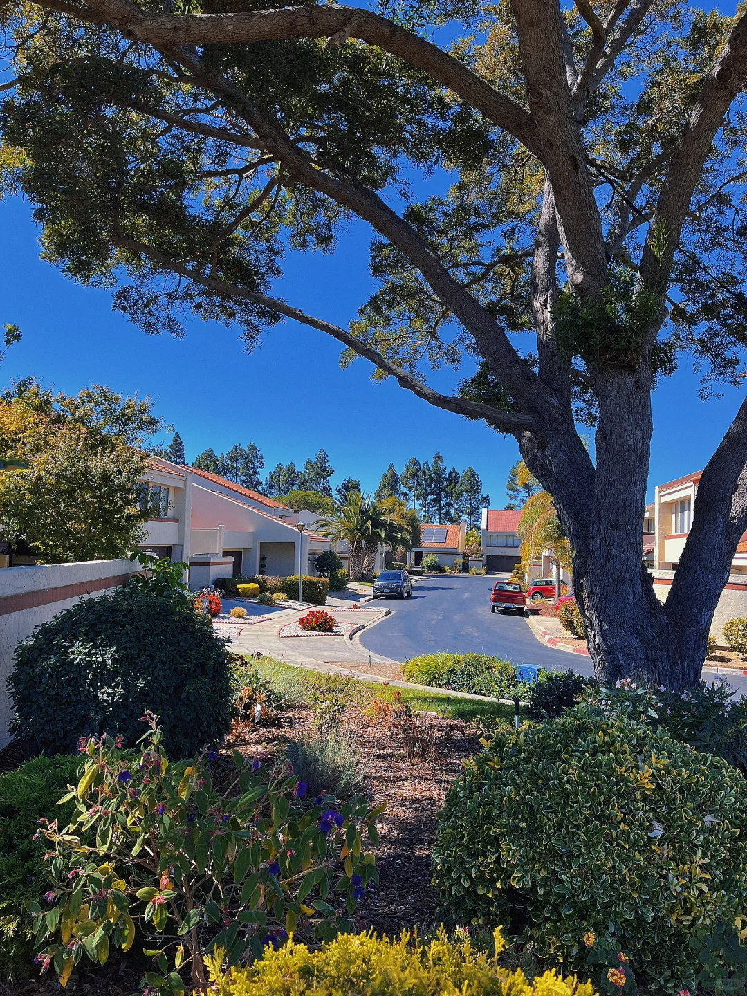 Foster City: The Hidden Little Venice of the Bay Area? | Hiking Guide to the Bay