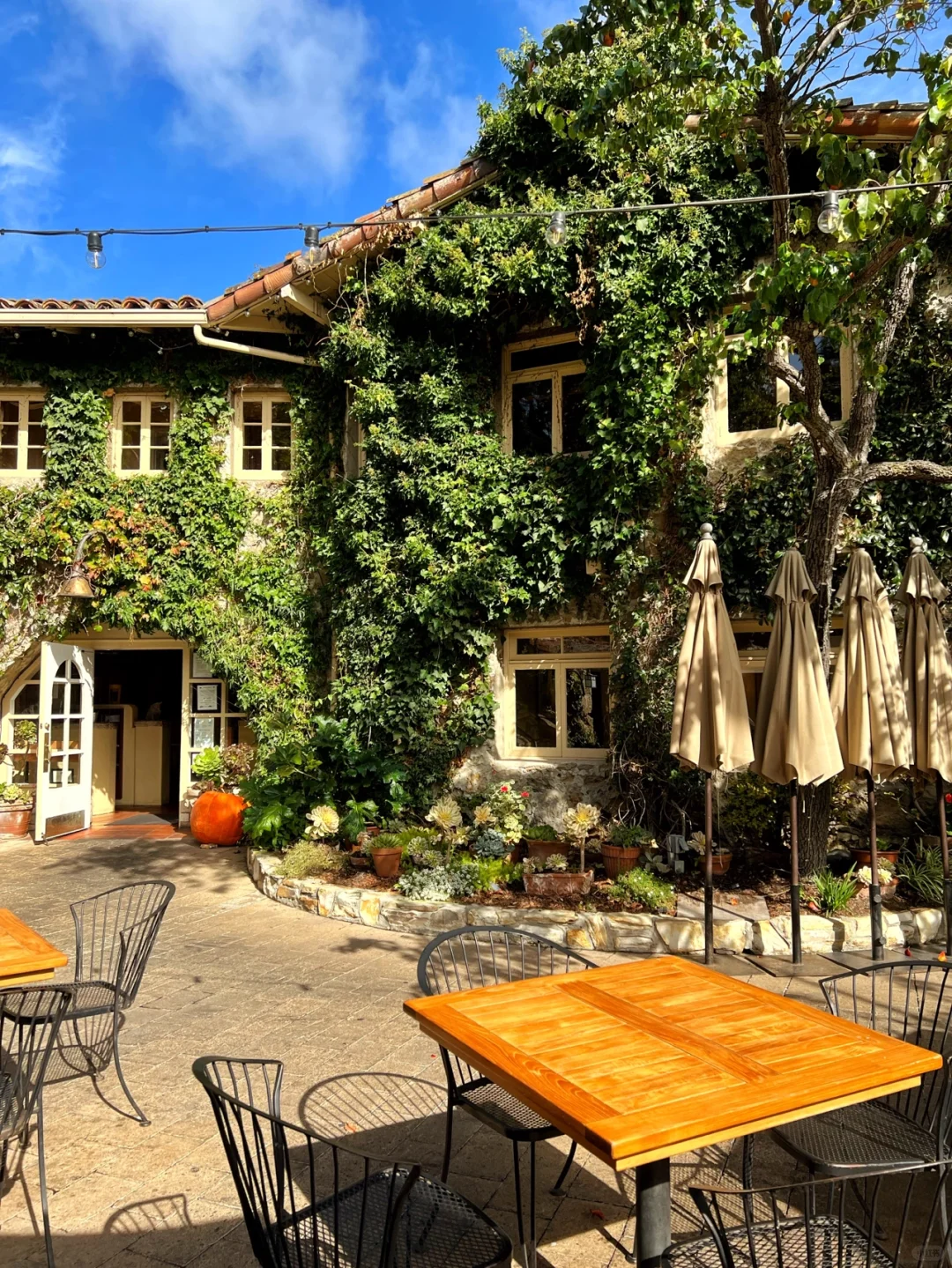 "Bay Area Surroundings | Step into a Fairytale-like Manor Restaurant 🌳"