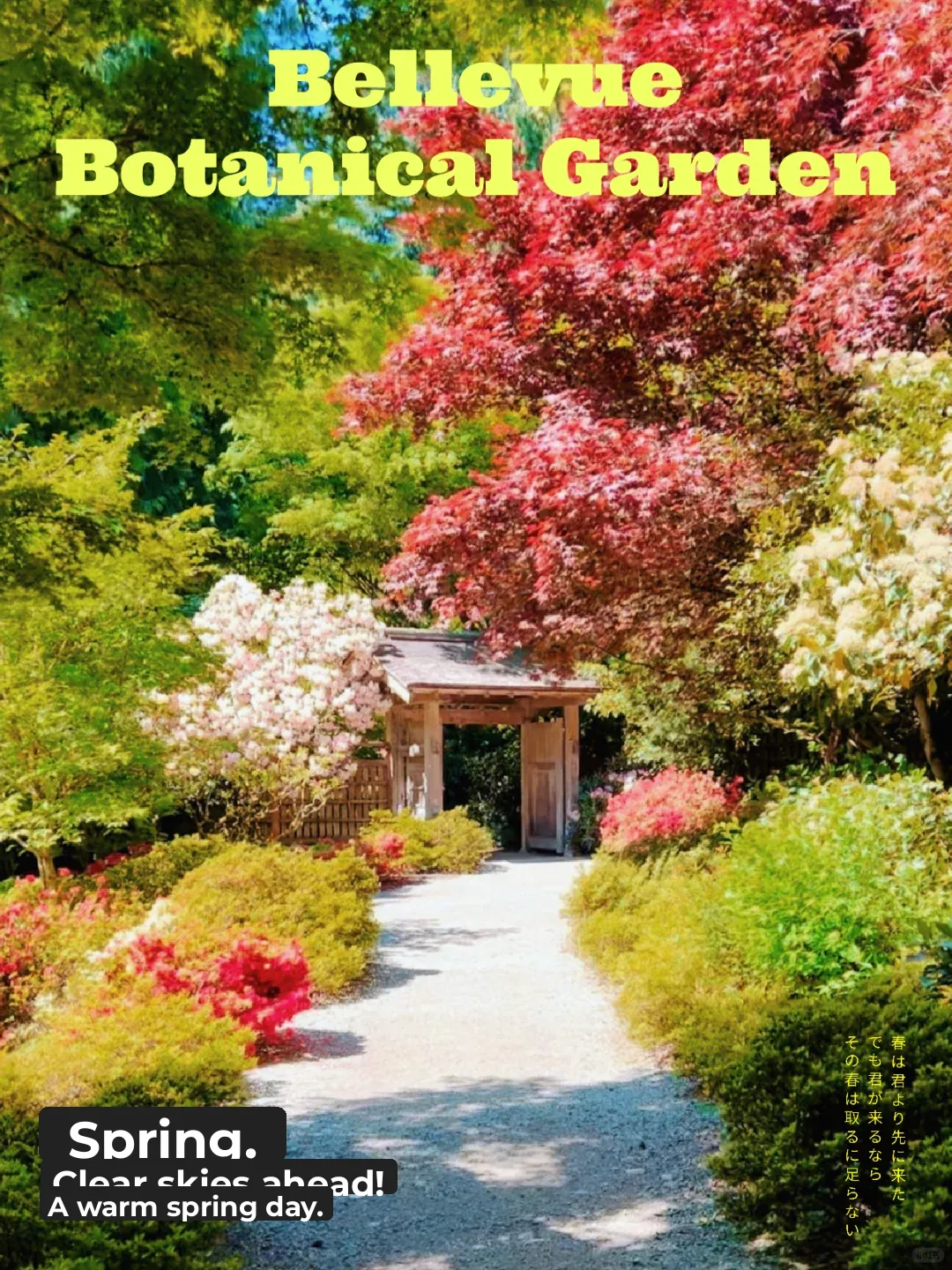 Seattle Area | The Hidden "Secret Garden" in Bellevue