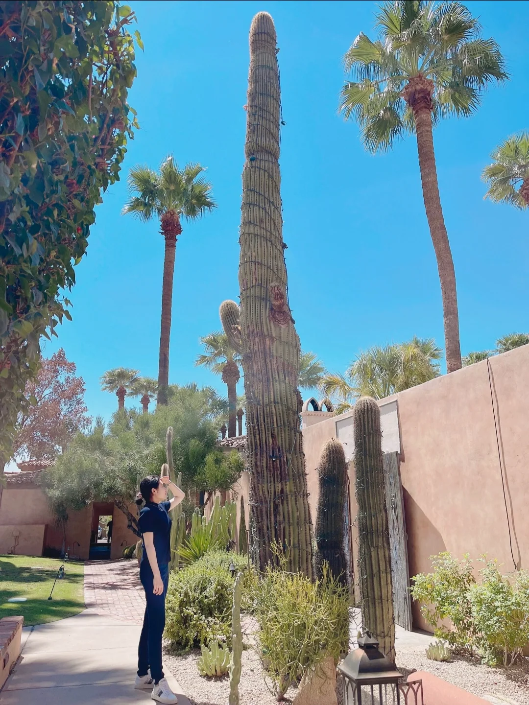 AZ Restaurant Recommendation: T Cook’s