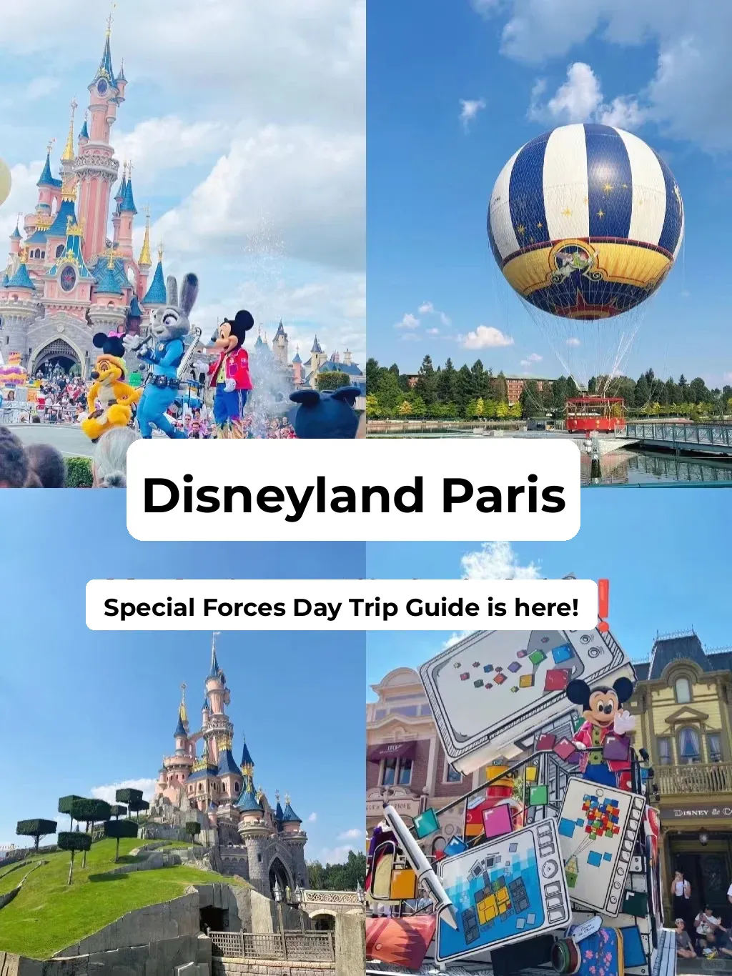 Heard Paris Disneyland has no lines❓❗