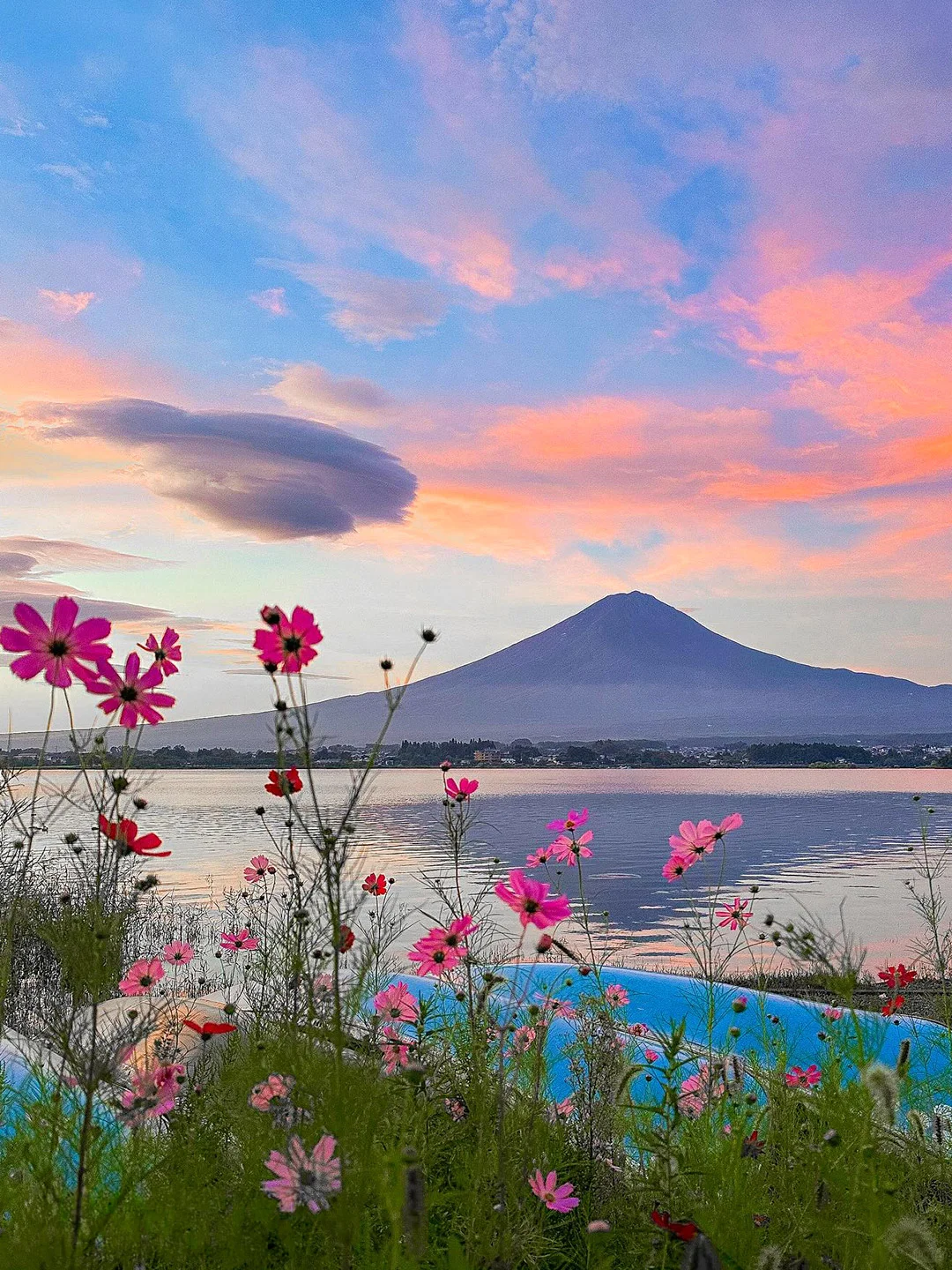 Tokyo to Mt. Fuji & Three Lakes Day Trip | Round-Trip from Downtown Just ¥499/Person