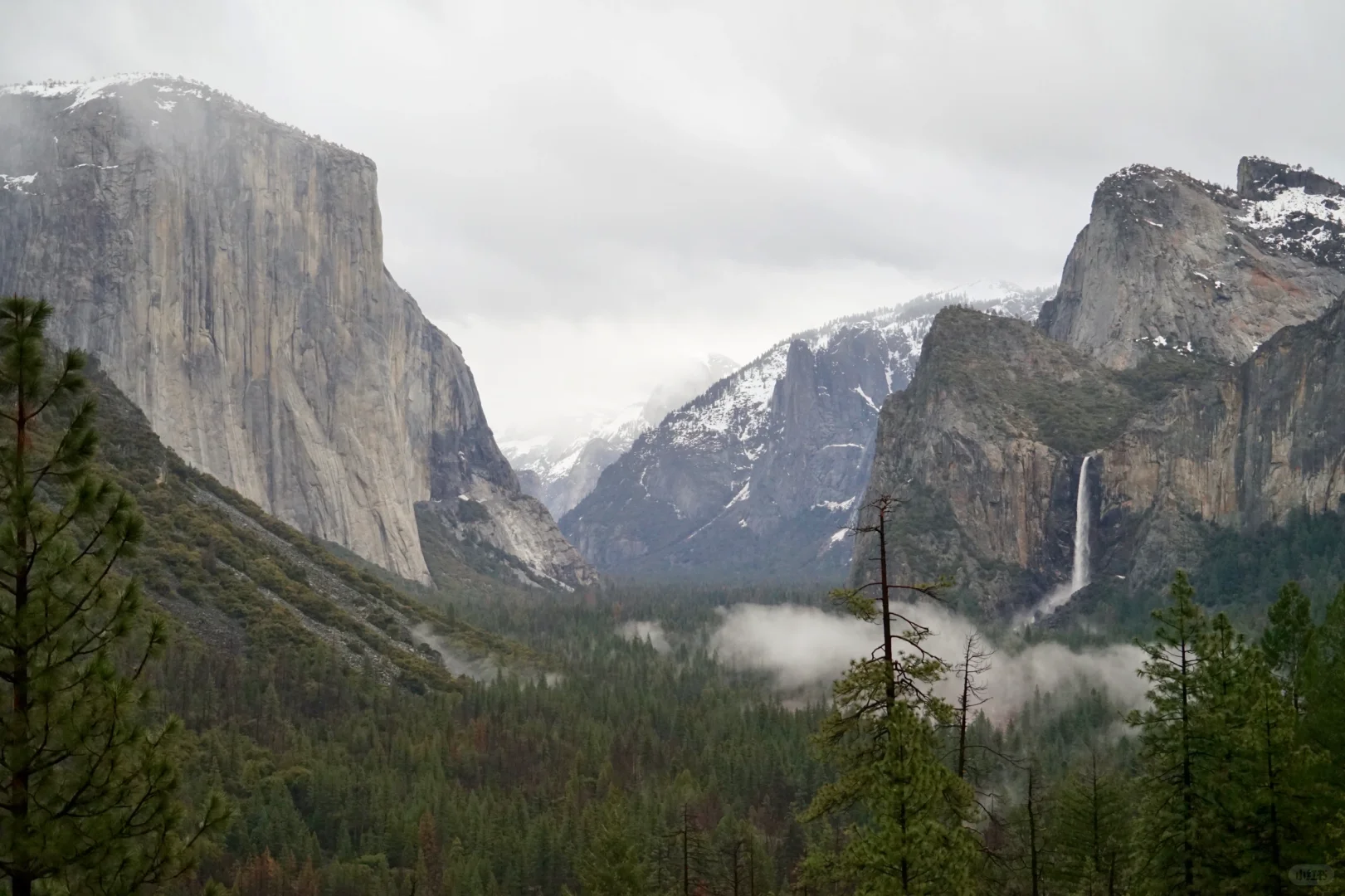 Private Tour Guide for a 2-3 Day Trip to Yosemite National Park