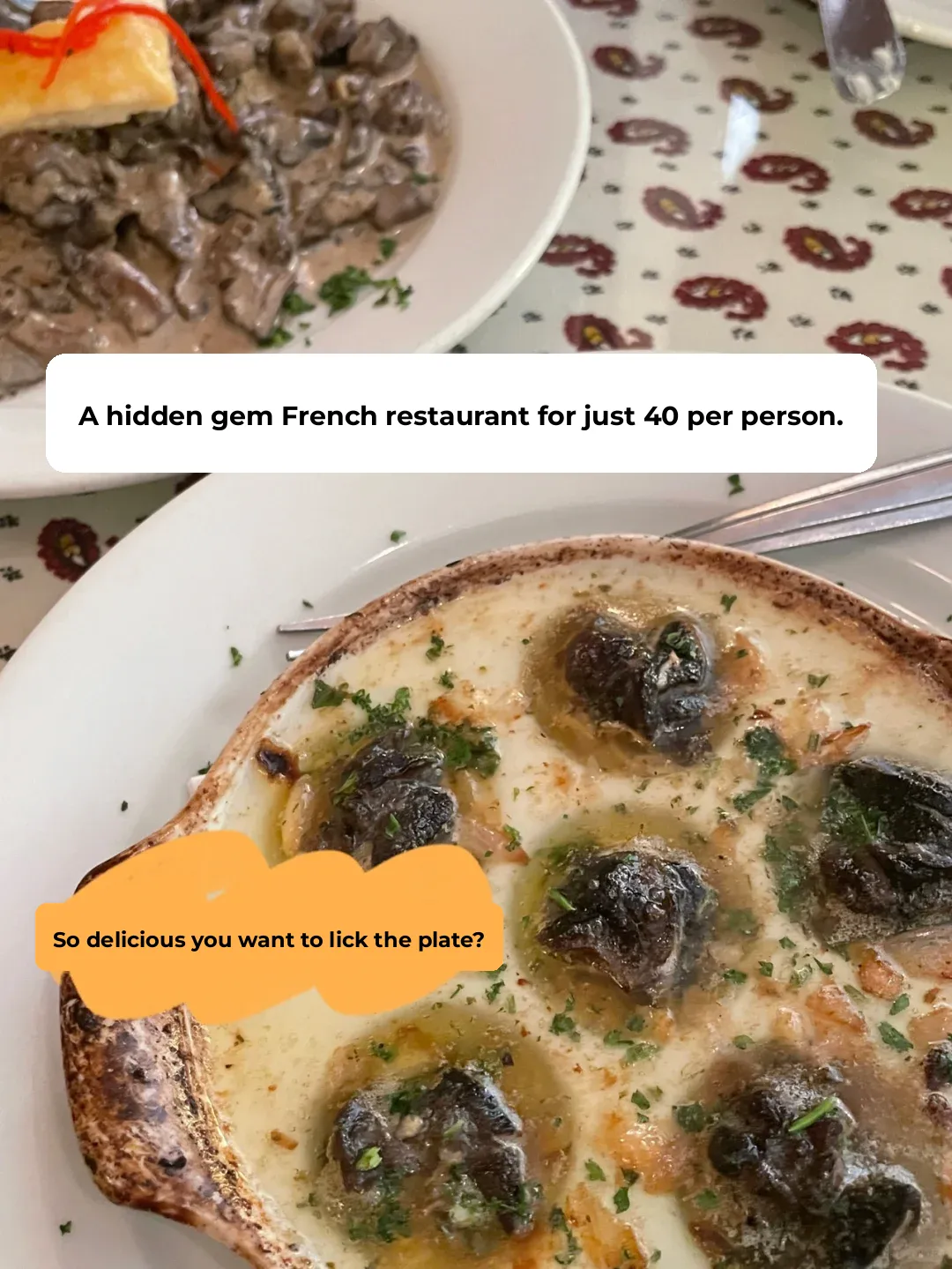 NY Foodie Finds | This French Bistro with a $40 Price Tag is a Hidden Gem!