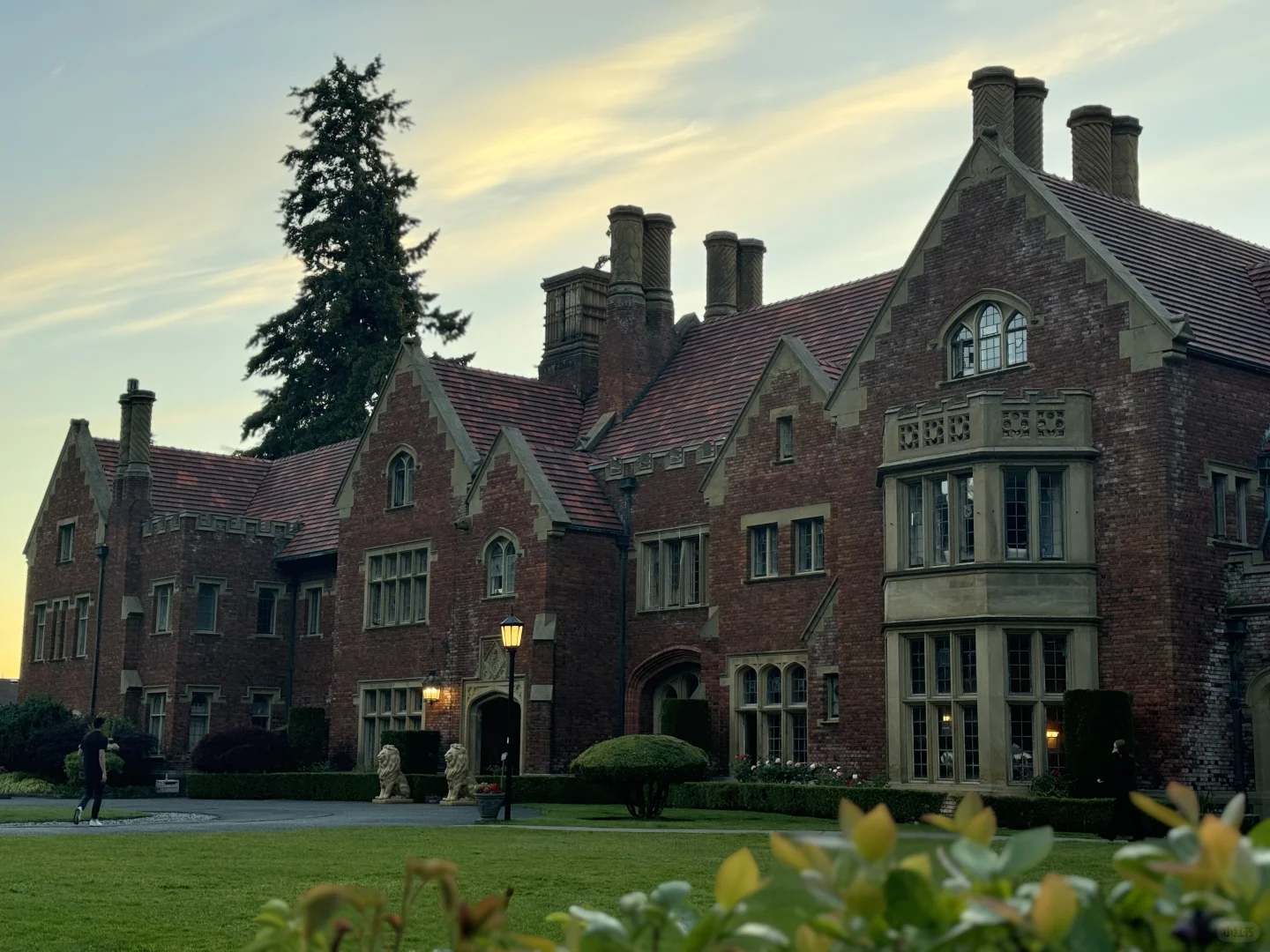 The Castle is Stunning🏰 Can You Handle This Beauty?