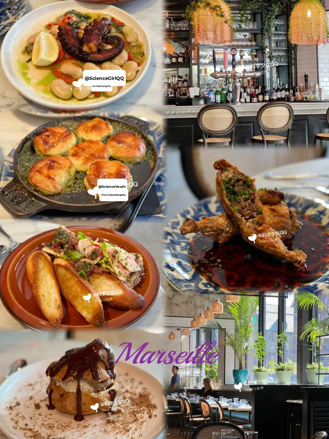 Boston | Newly Opened Mediterranean-French Restaurant Marseille