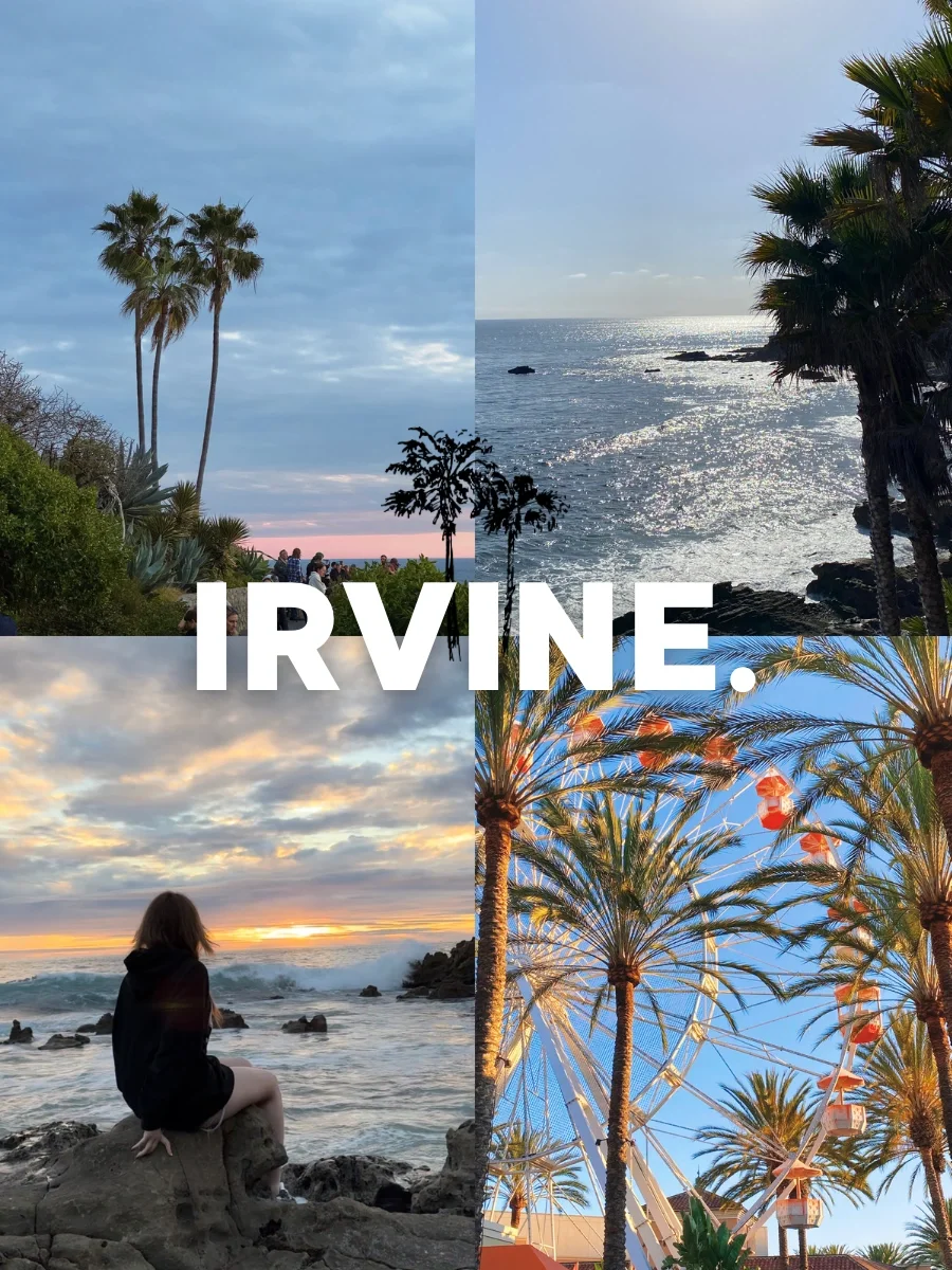 Plog🌊 Four Years of Irvine Travel: Must-Visit Spots for Endless Returns 🌄