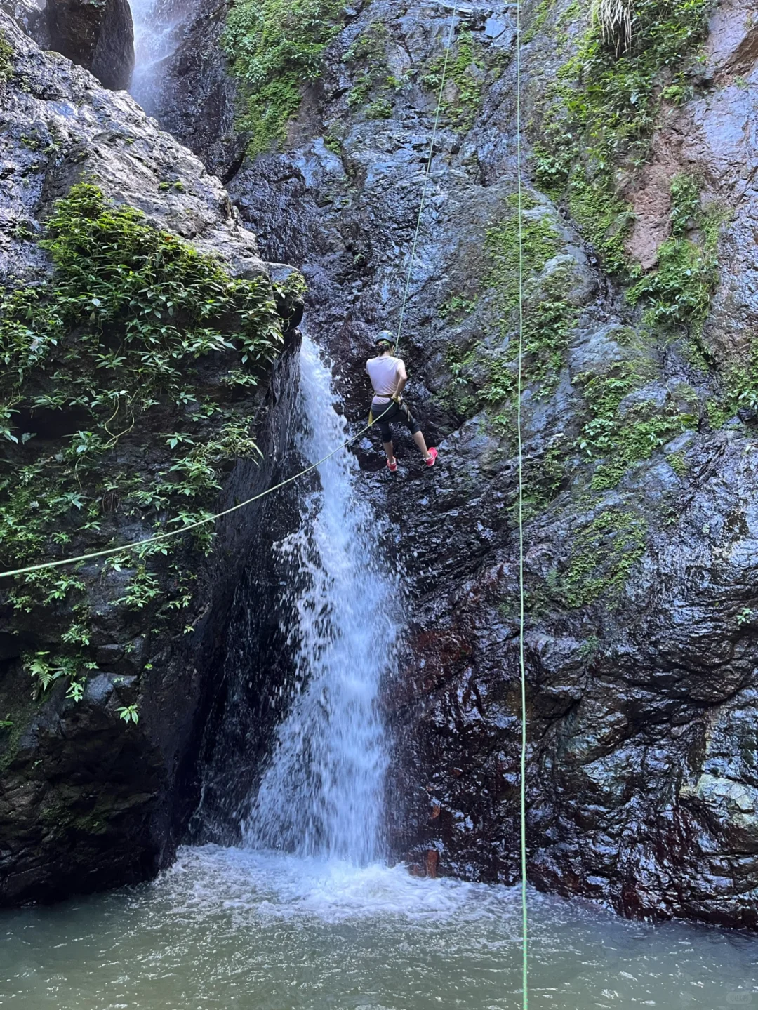 Zip Lining and Waterfall Rappelling: Adventure Activities in Puerto Rico