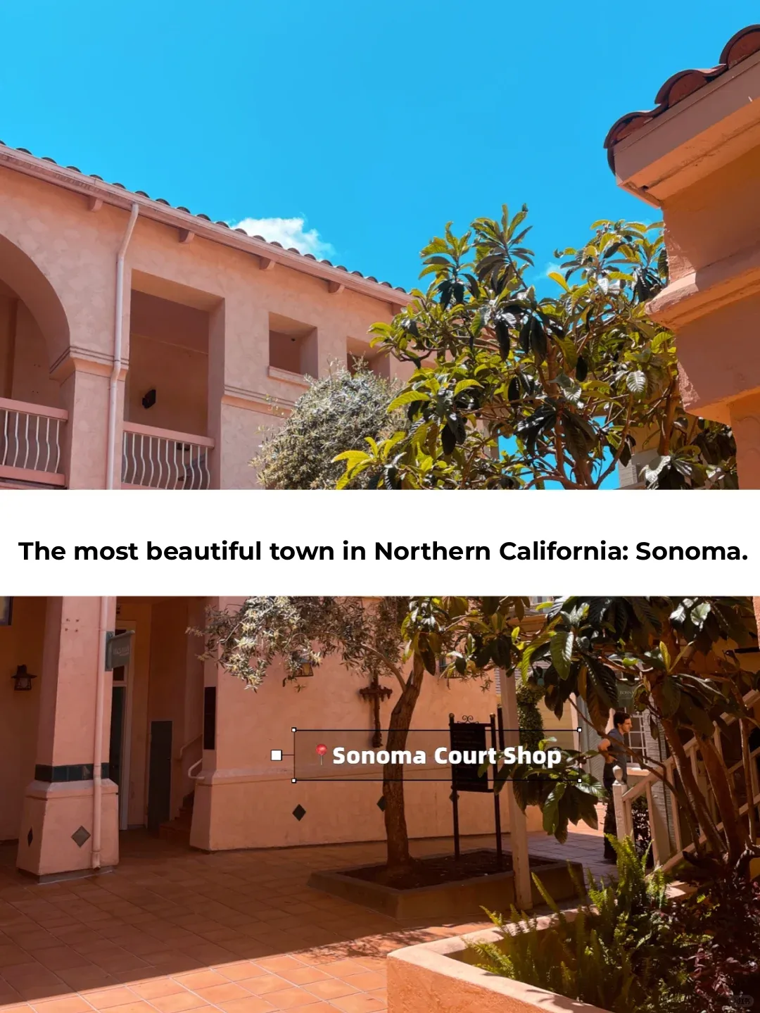 San Francisco 🔥 Discover Sonoma: The Wine Country Town Even Prettier Than Napa Valley