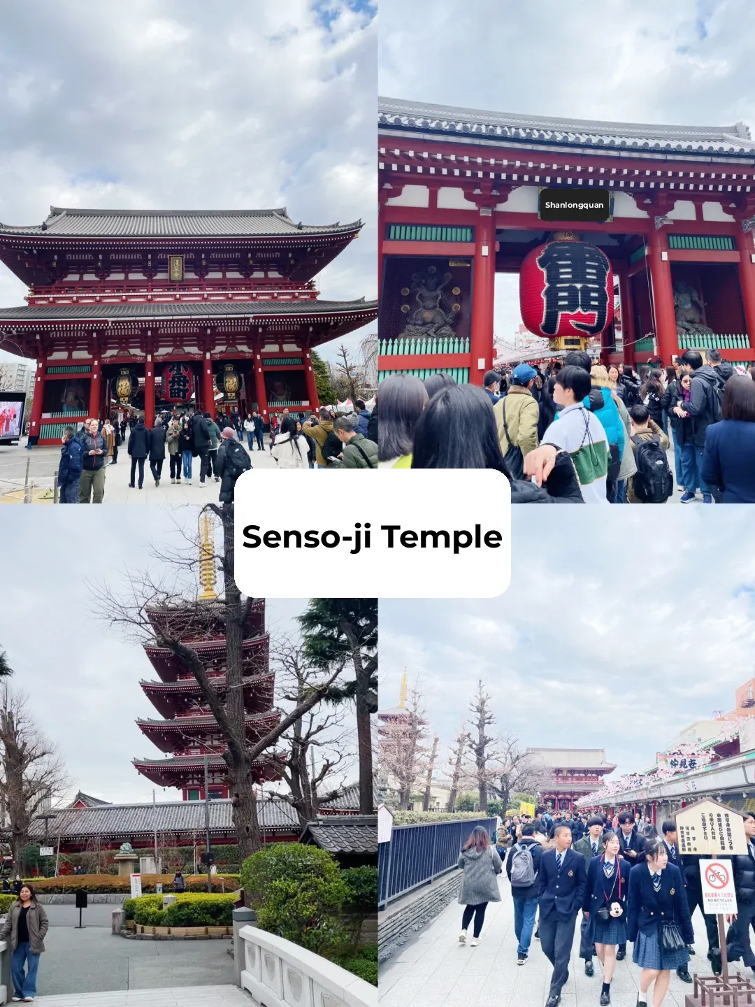 3-Day Ultimate Guide to Exploring Tokyo + Mount Fuji (Part 1)