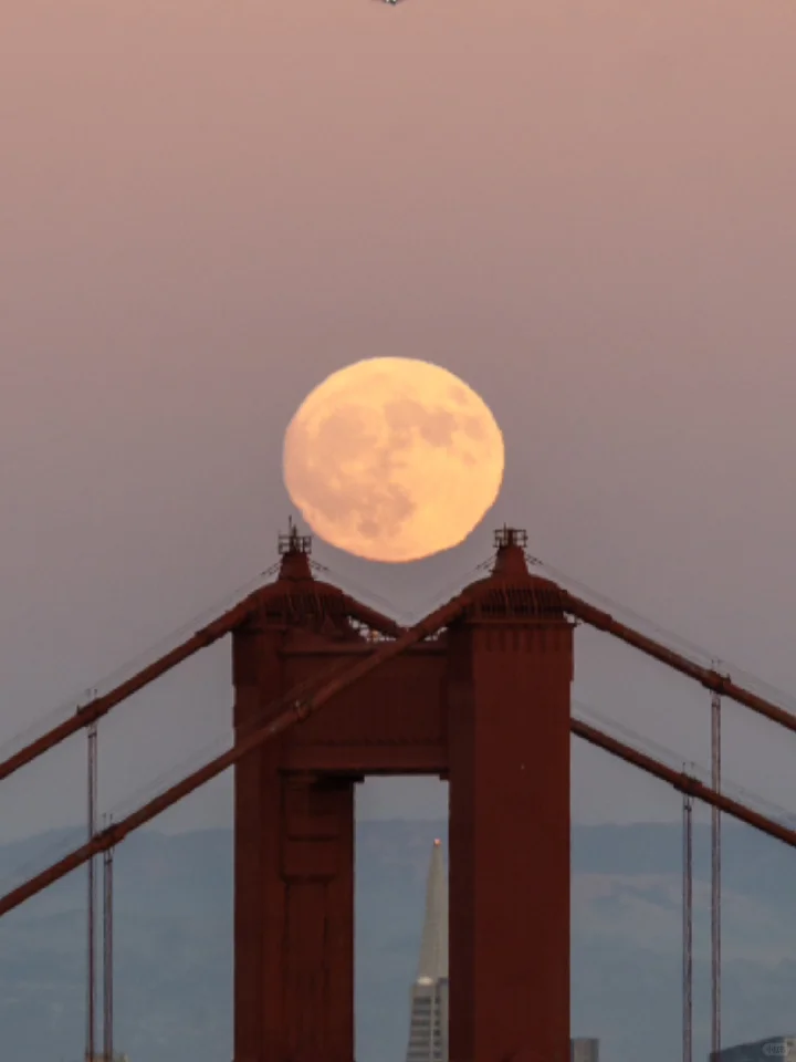 Reasons to Fall for San Francisco: Top Photo Spots Included