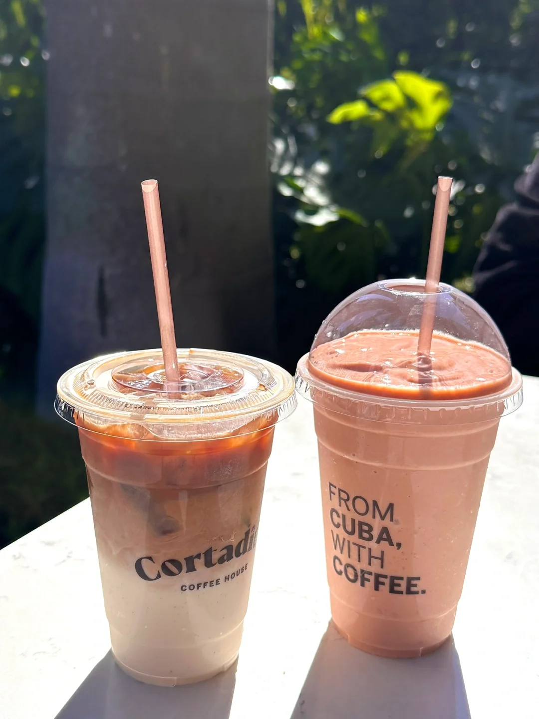 🏝️ Miami Street Food Delights