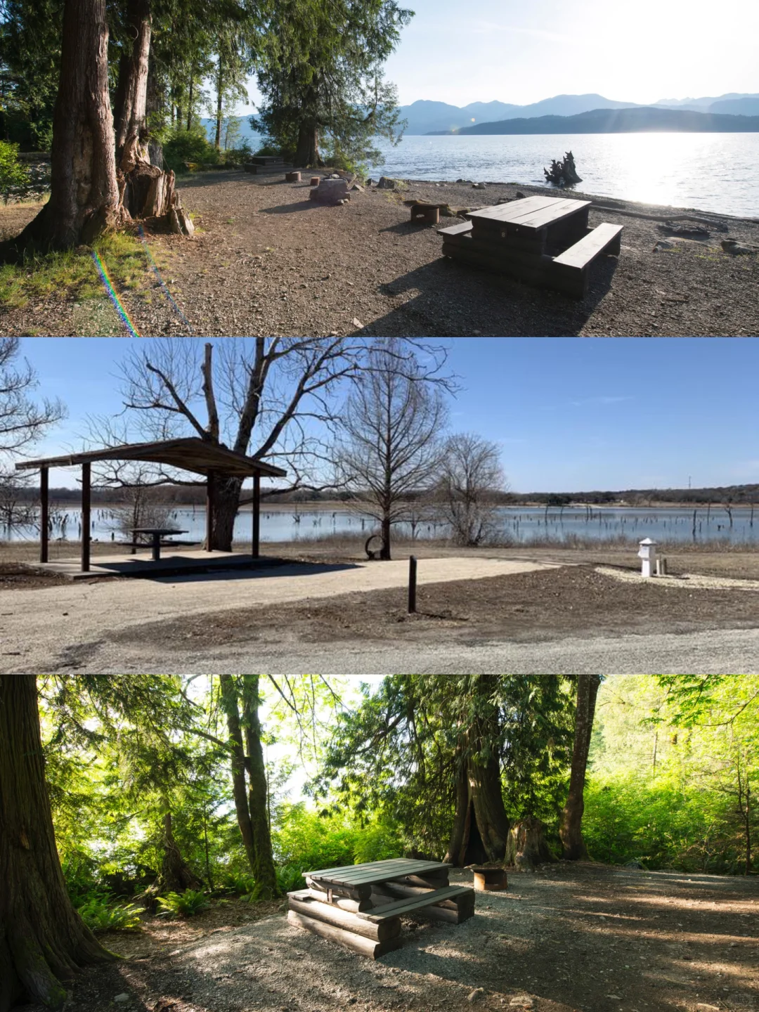 Top Camping Spots Around Seattle ⛺️ Escape the Hustle and Bustle