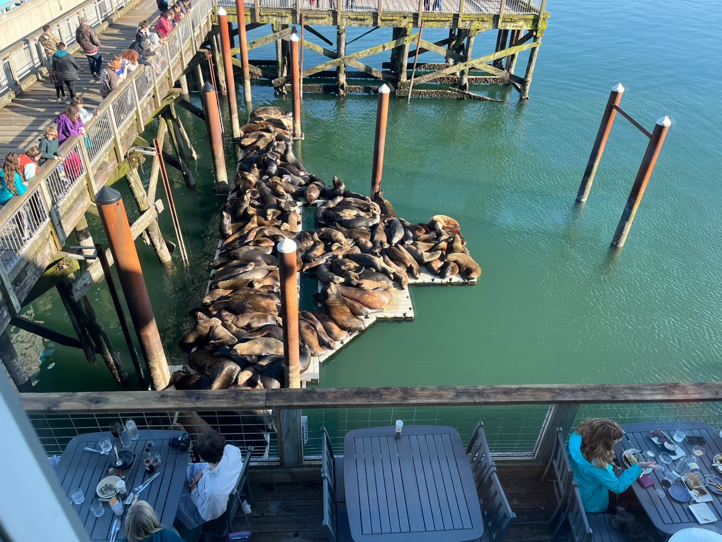 Solo Dining at New Port: Feasting on a Giant Crab