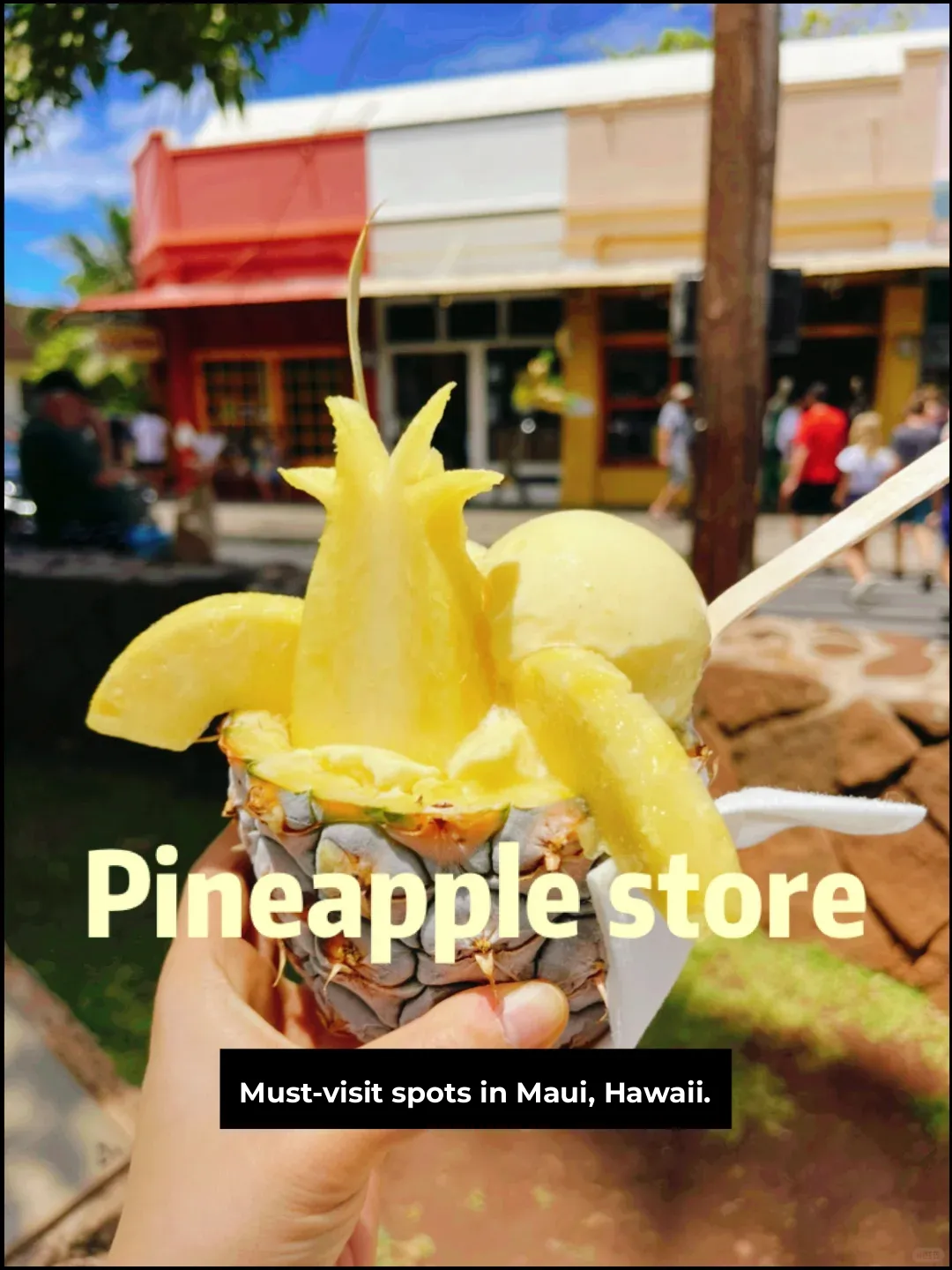Maui Pineapple Dessert Shop in Hawaii – You Must Try This!