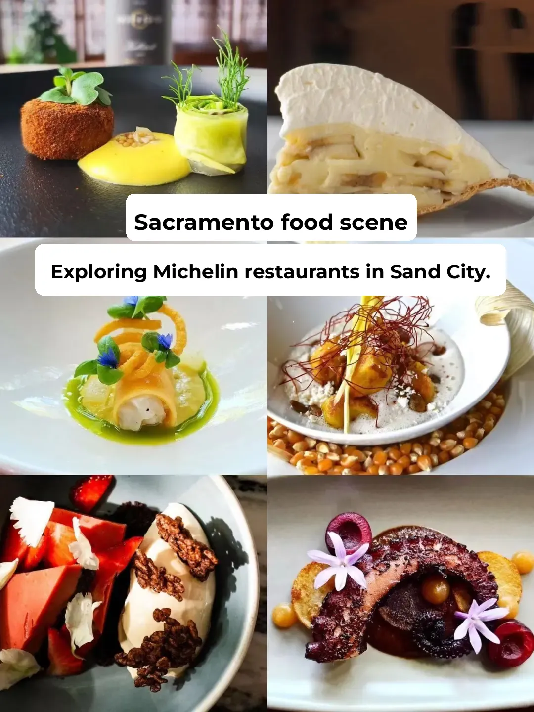 Sacramento Food Guide | A Roundup of Michelin-Starred Restaurants in the City🛞