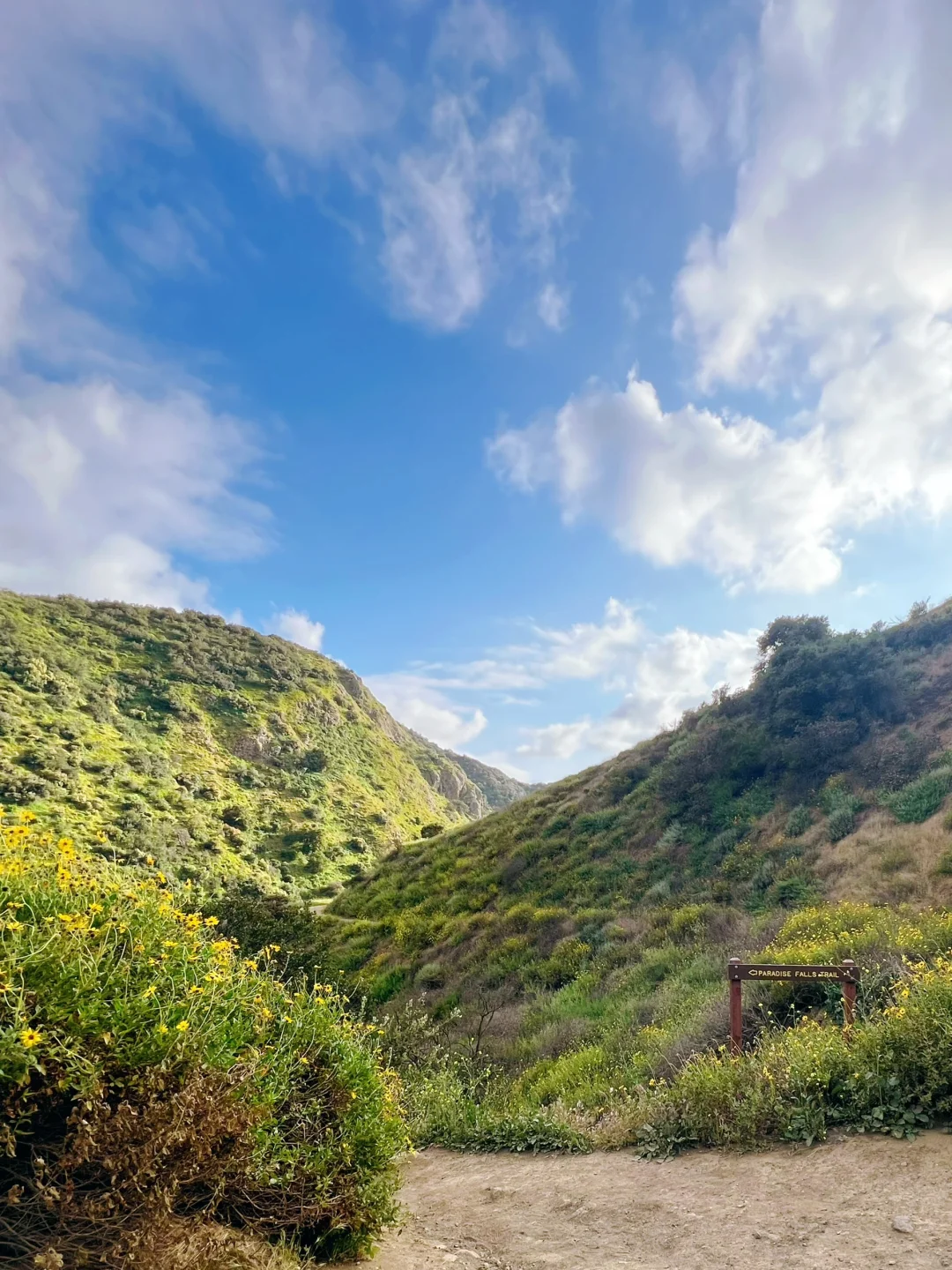 I Found the Valley of the Wind in LA | Wildwood Hike