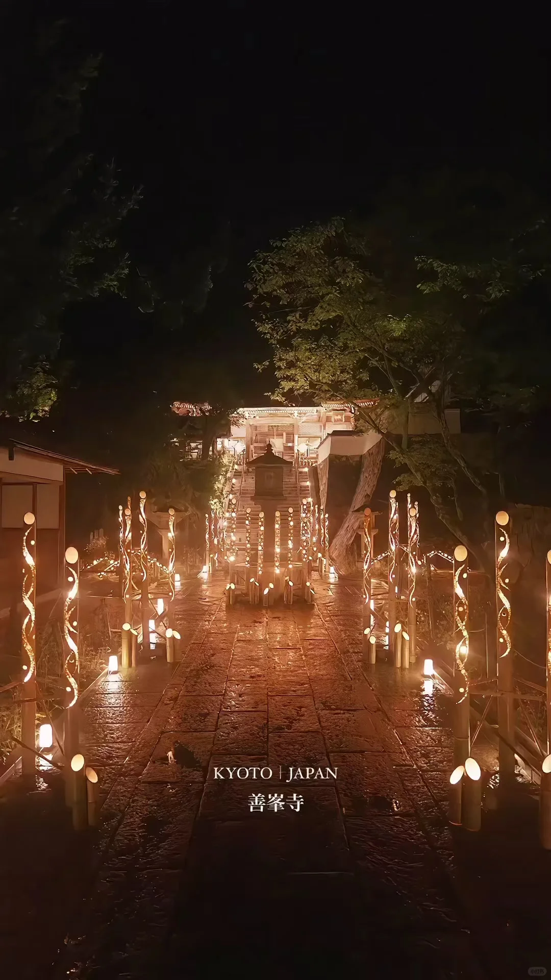 First Ever! Kyoto Nishiyama Bamboo Lantern Festival - Dreamy Night 2024!