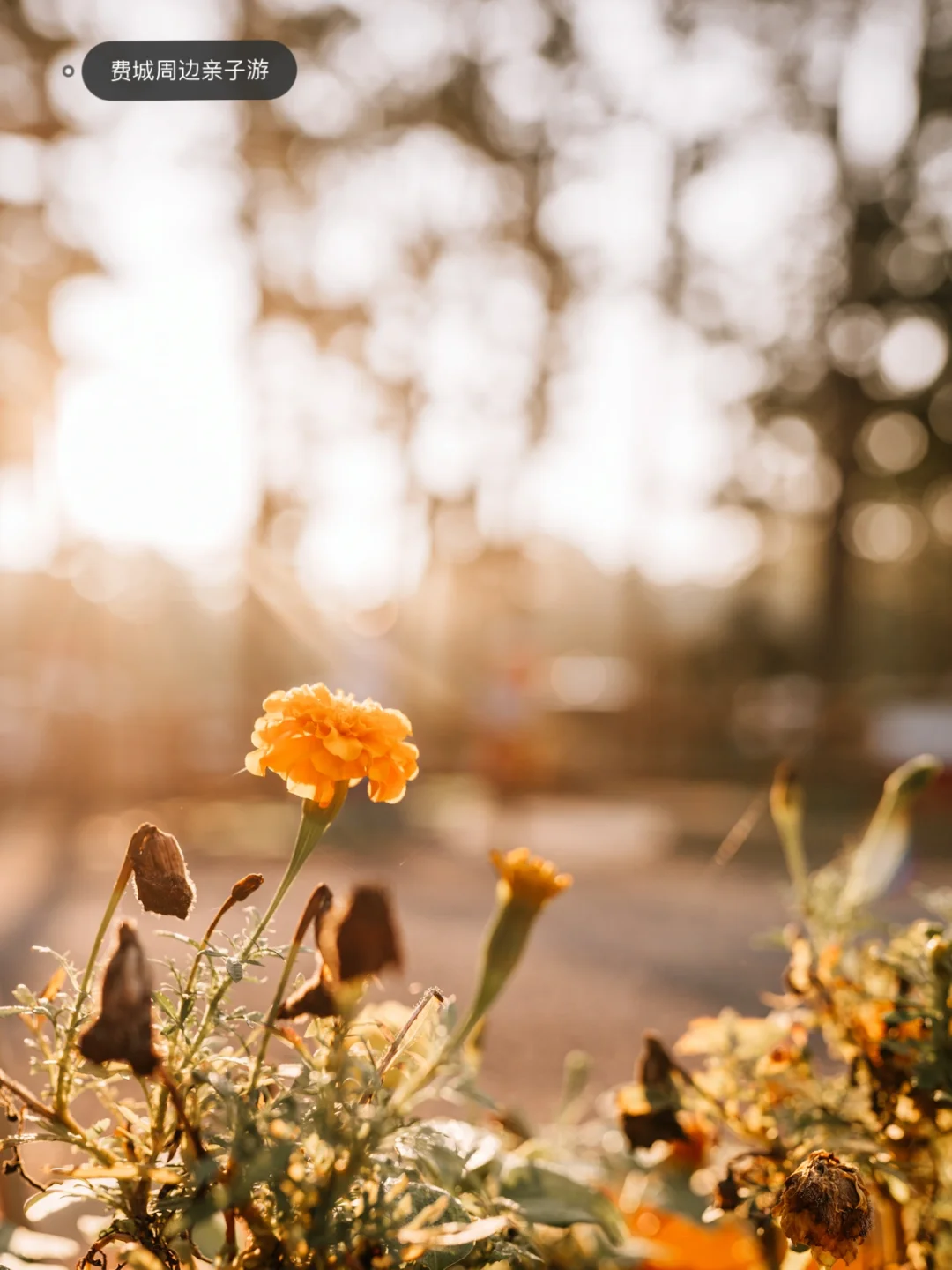 Philadelphia Area | New Jersey Area | Outdoor Camping Family Trip