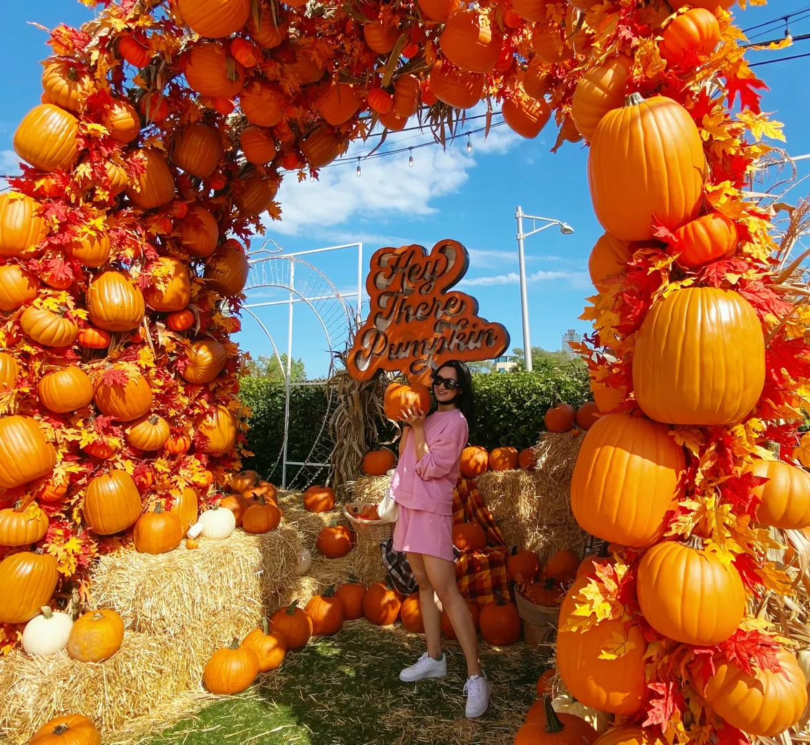 Chicago | Halloween Pumpkin Patch