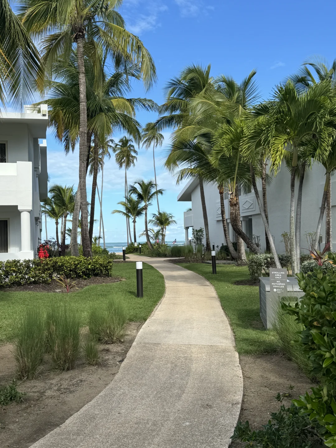 6-Day, 5-Night Puerto Rico Trip from the East Coast: Tips and Pitfalls to Avoid