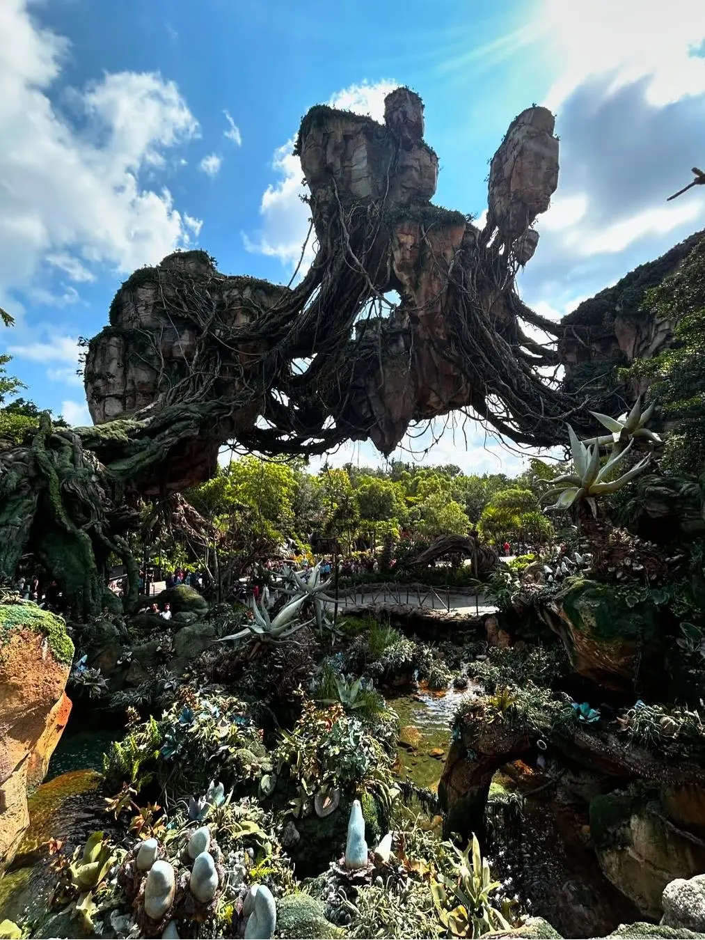 Orlando 🦁 Disney's Animal Kingdom One-Day Adventure Guide!