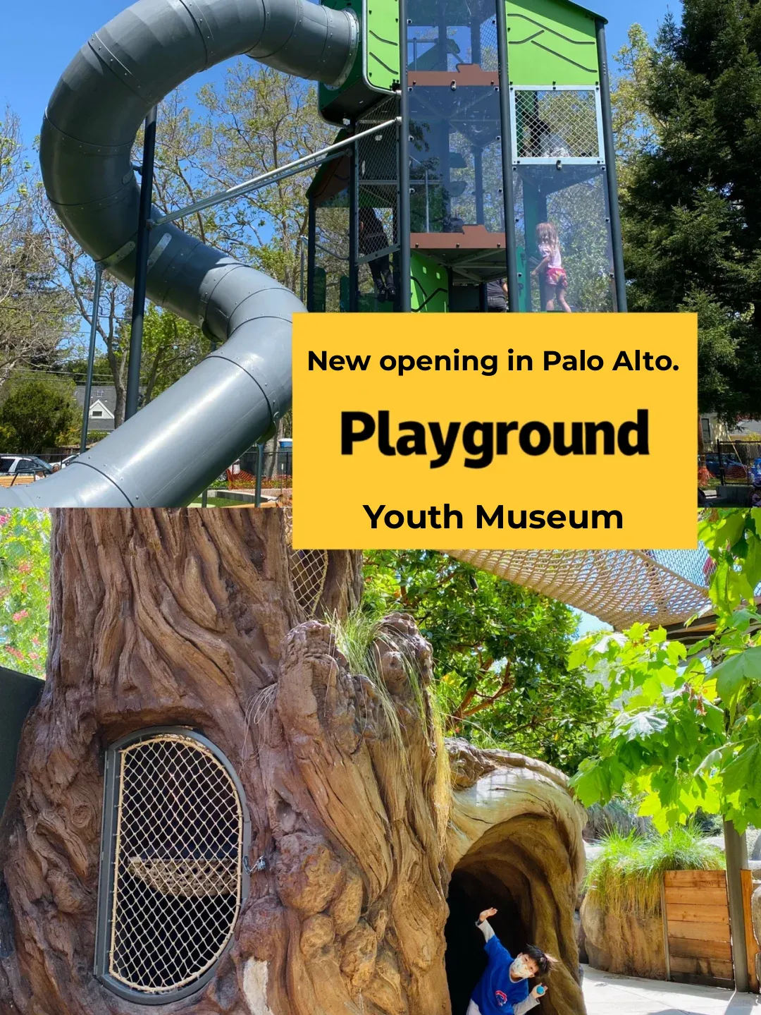 Palo Alto Family Fun: Junior Museum & New Playground