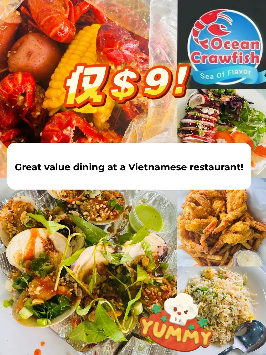 Houston Vietnamese Restaurant | $9 Dishes to Indulge In!