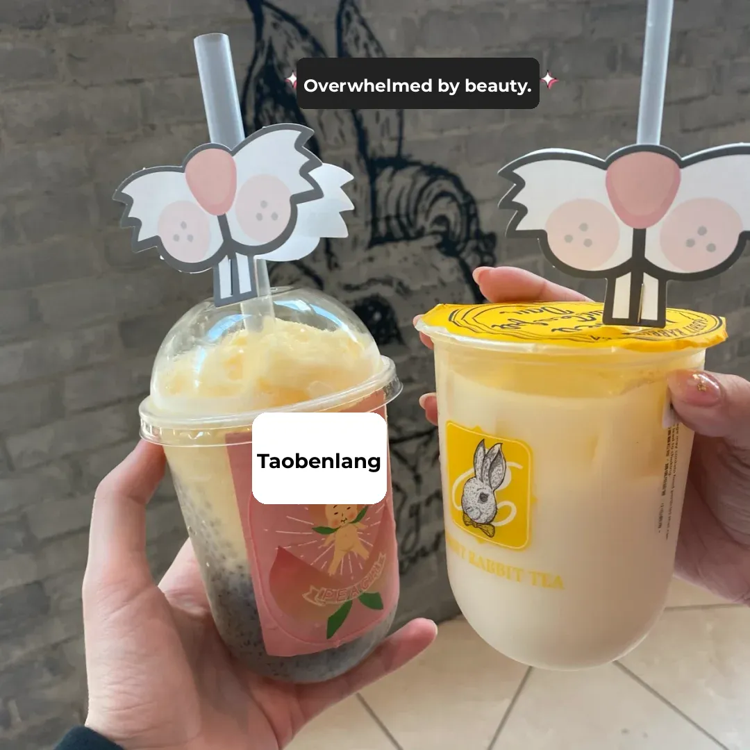 Bay Area's Best Milk Tea List ┃ Honest Recommendations ✅