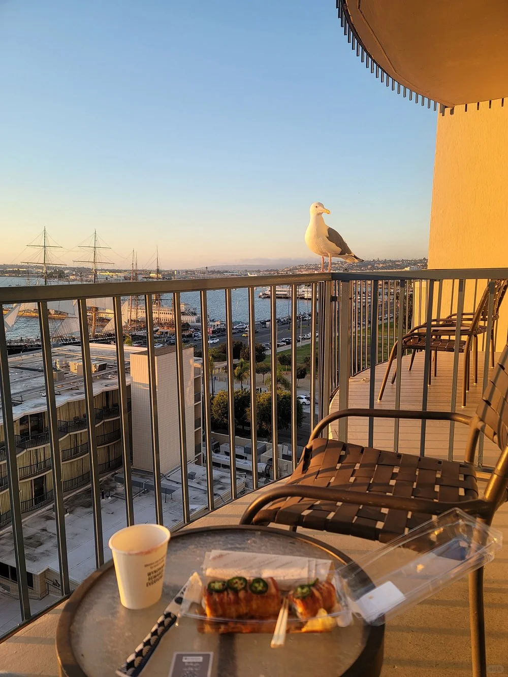 Check Out This Hotel in San Diego! Great Location and Affordable 😎