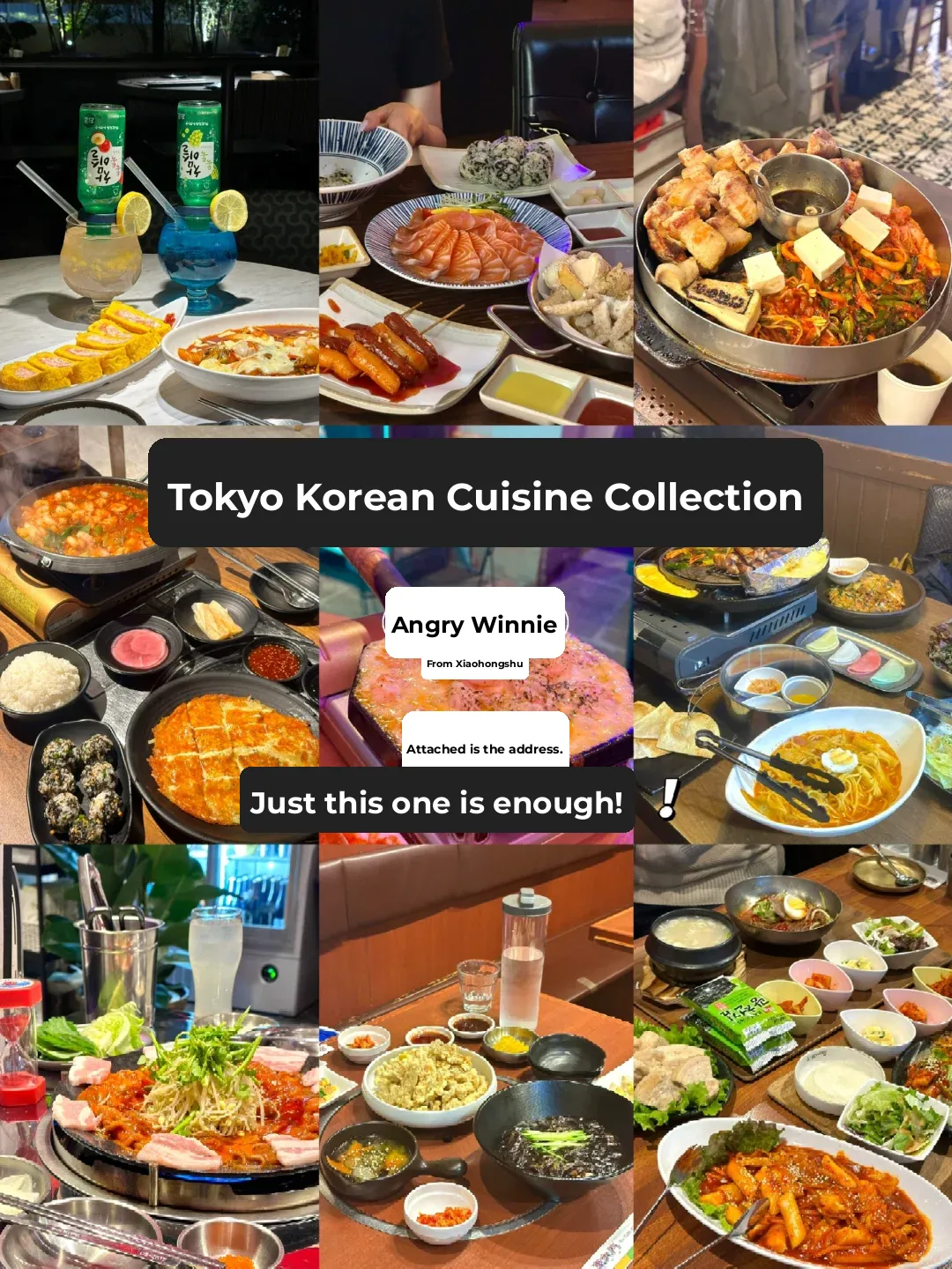 Tokyo Food Hunt: The Ultimate Guide to Korean Cuisine!!