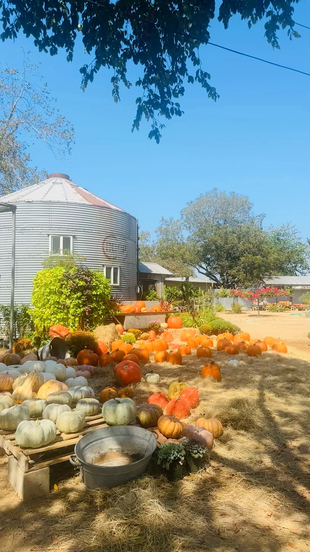 #SanAntonioAdventure