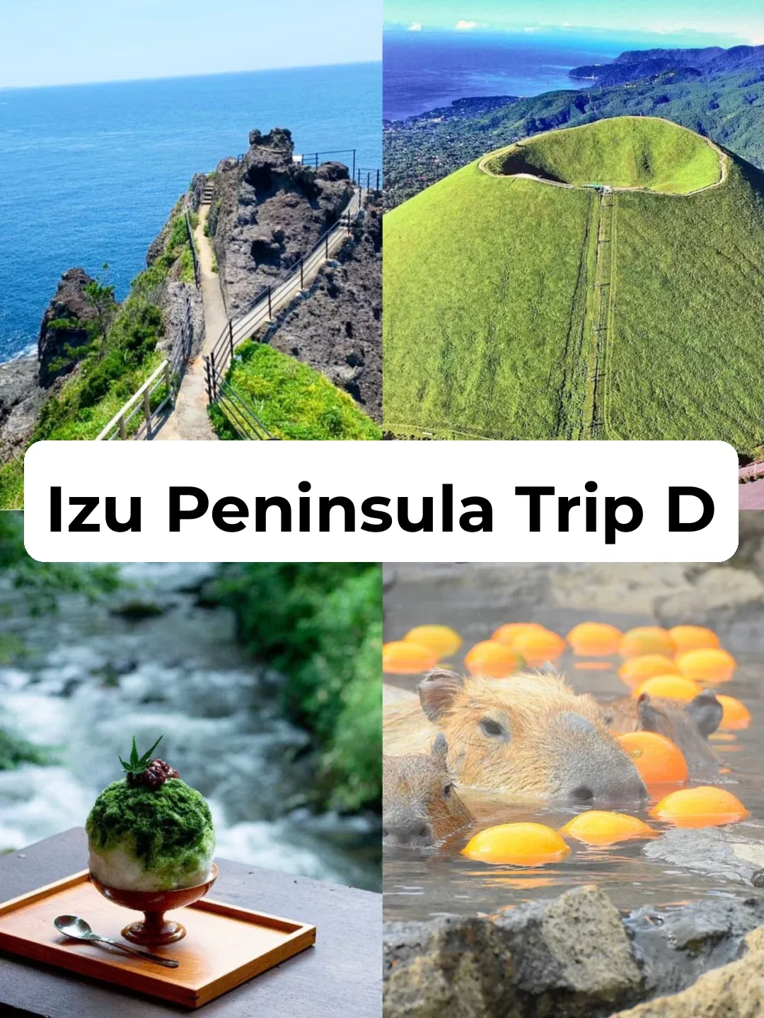 Memories of Japan Trip | Izu 2-Day Itinerary, Everything You Need to Know!