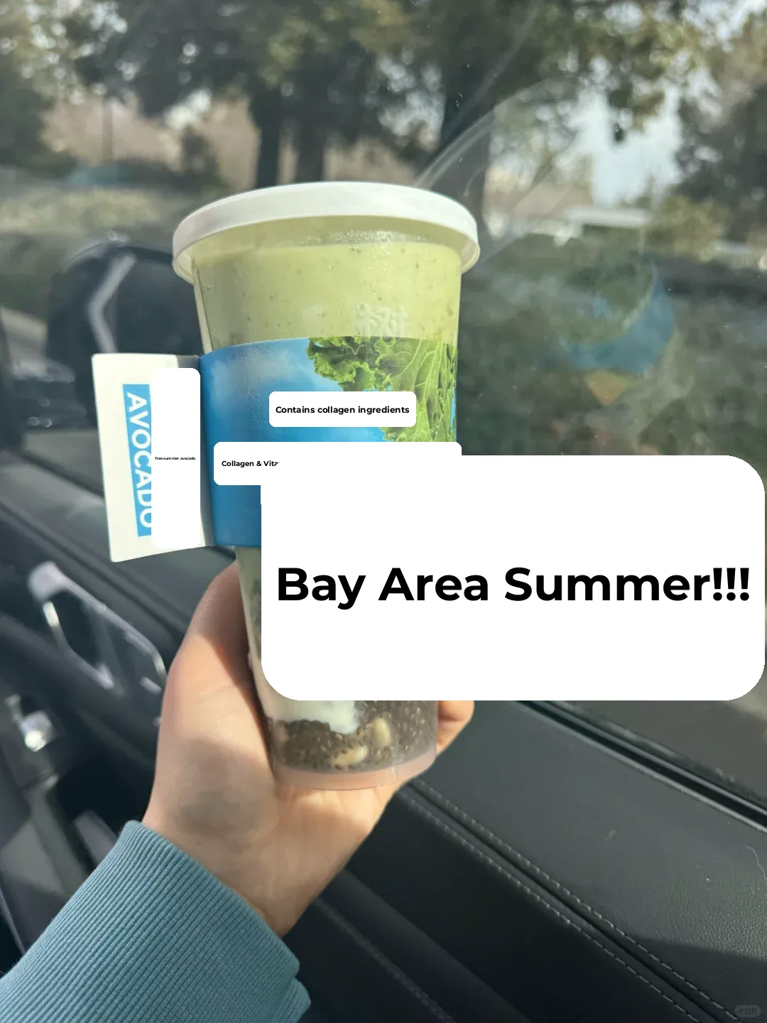Summer Tree Report from the Bay Area