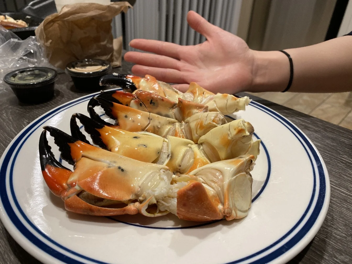 Miami's Hidden Gem: Super Cheap & Fresh Stone Crab Legs by the Seaside