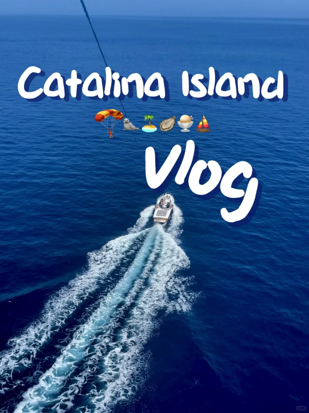 Vlog💙Catalina Day Trip/Even More Fun Than Expected!