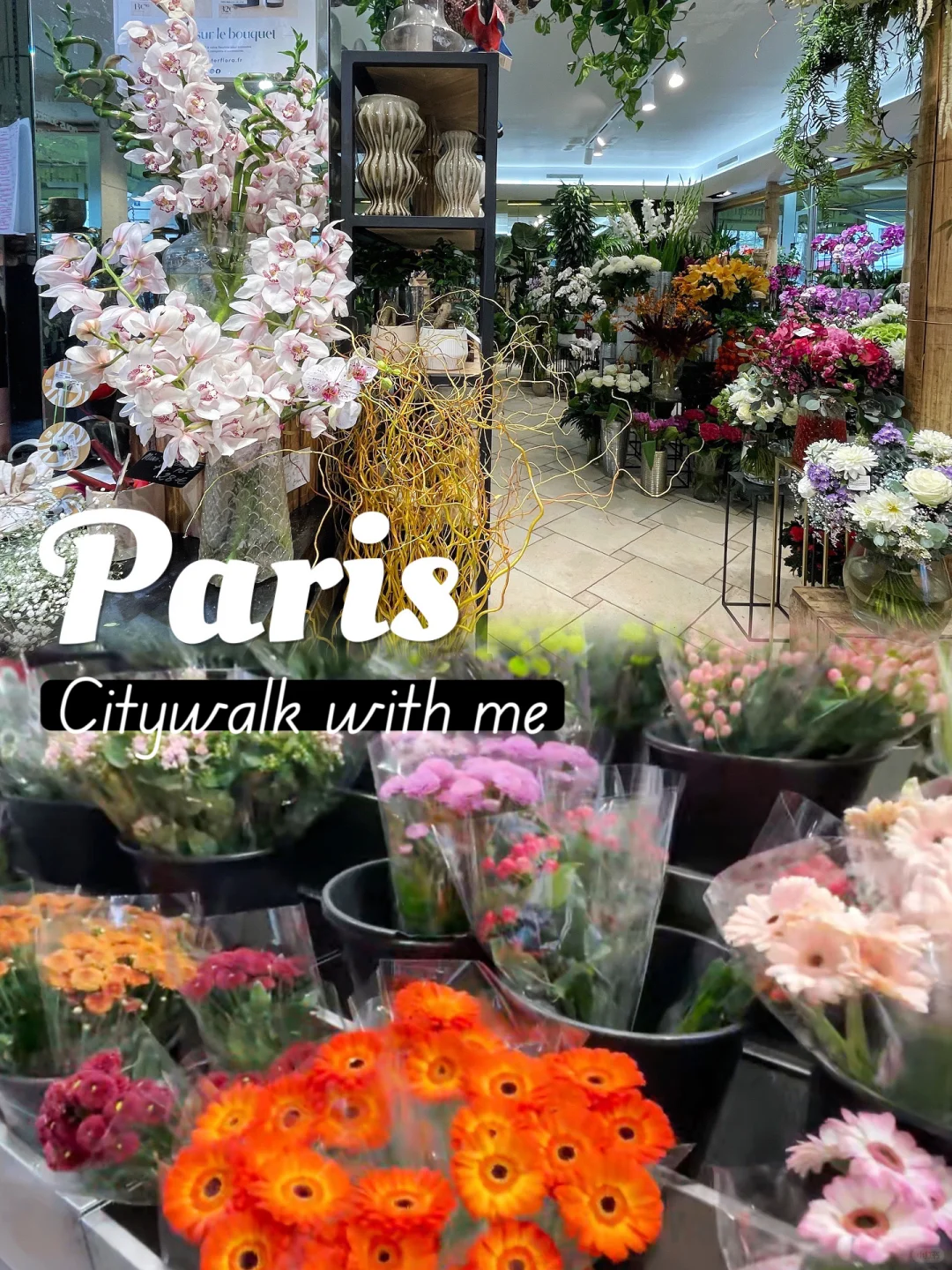Paris City Walk | The Hidden Gem Flower Shop I'm Obsessed With