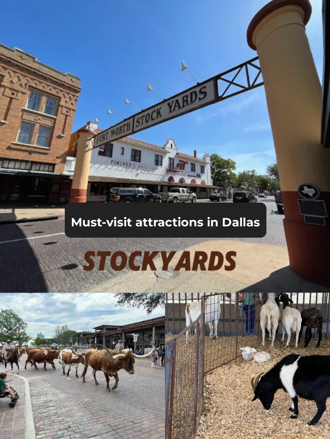 Dallas | Fort Worth Must-Visit Attractions📍Stockyards🤠