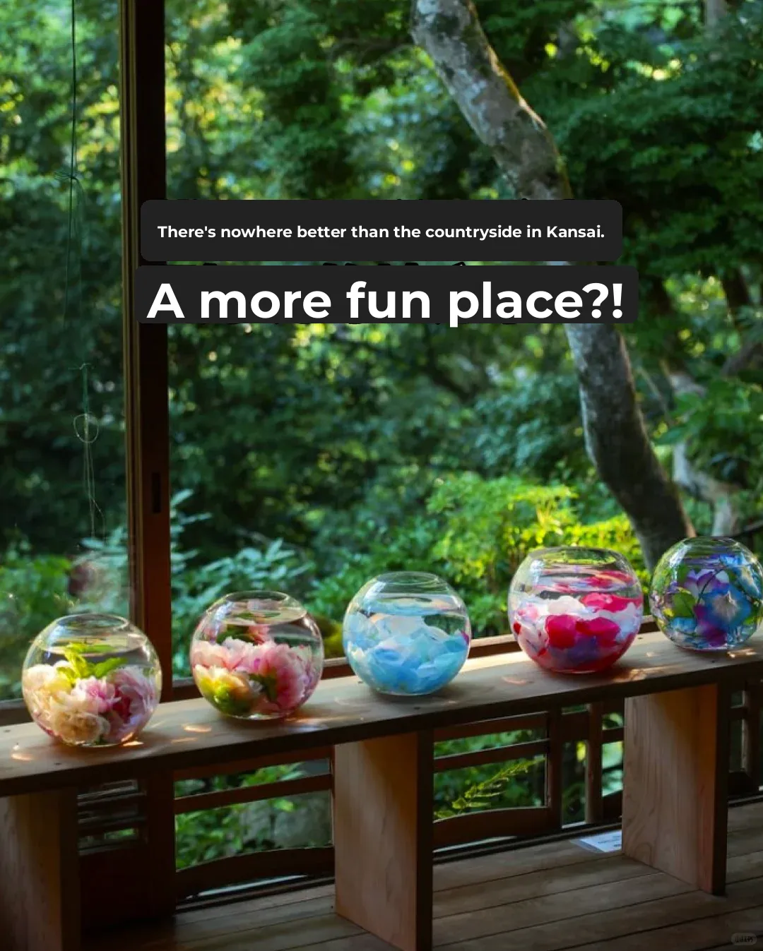 Can't Find Anywhere More Fun Than Kansai Countryside?❓❓