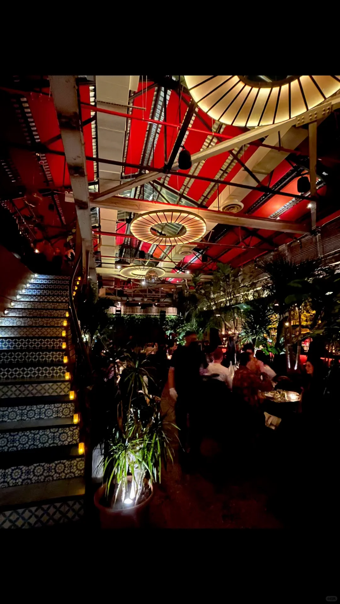 "A Mediterranean Restaurant You Can't Miss 🍴"