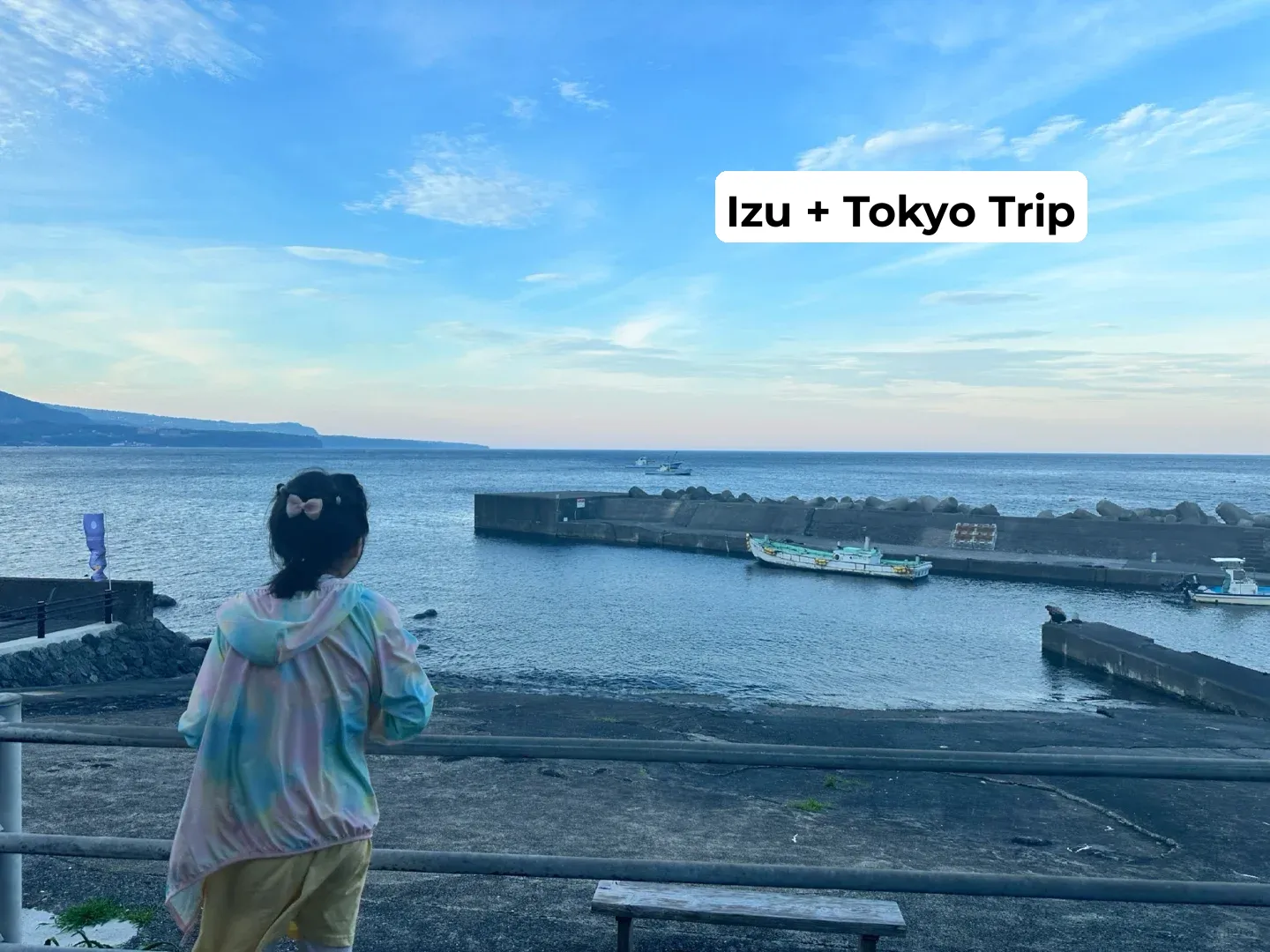 6 Days and 5 Nights Family-Friendly Trip to Izu + Tokyo